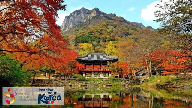 east-naejangsan-mountain-secret-foliage-paradise-day-tour-from-seoul-korea_1